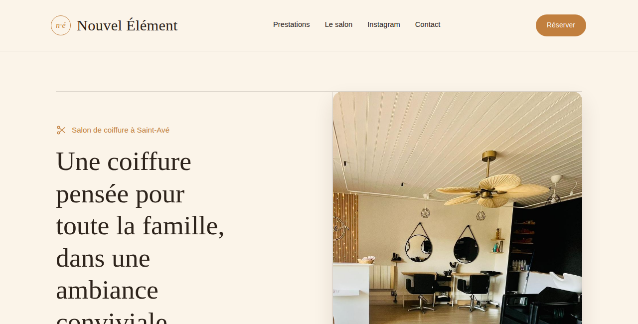 Aperçu du site Salon Nouvel Élément